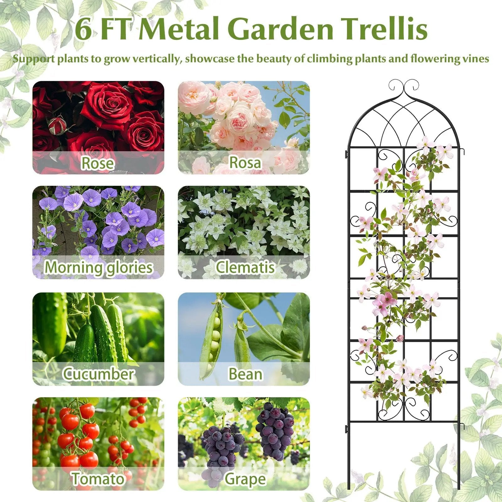 4 Pack 71" x 20" Metal Garden Trellis for Outdoor Climbing Plants by DirectDeals