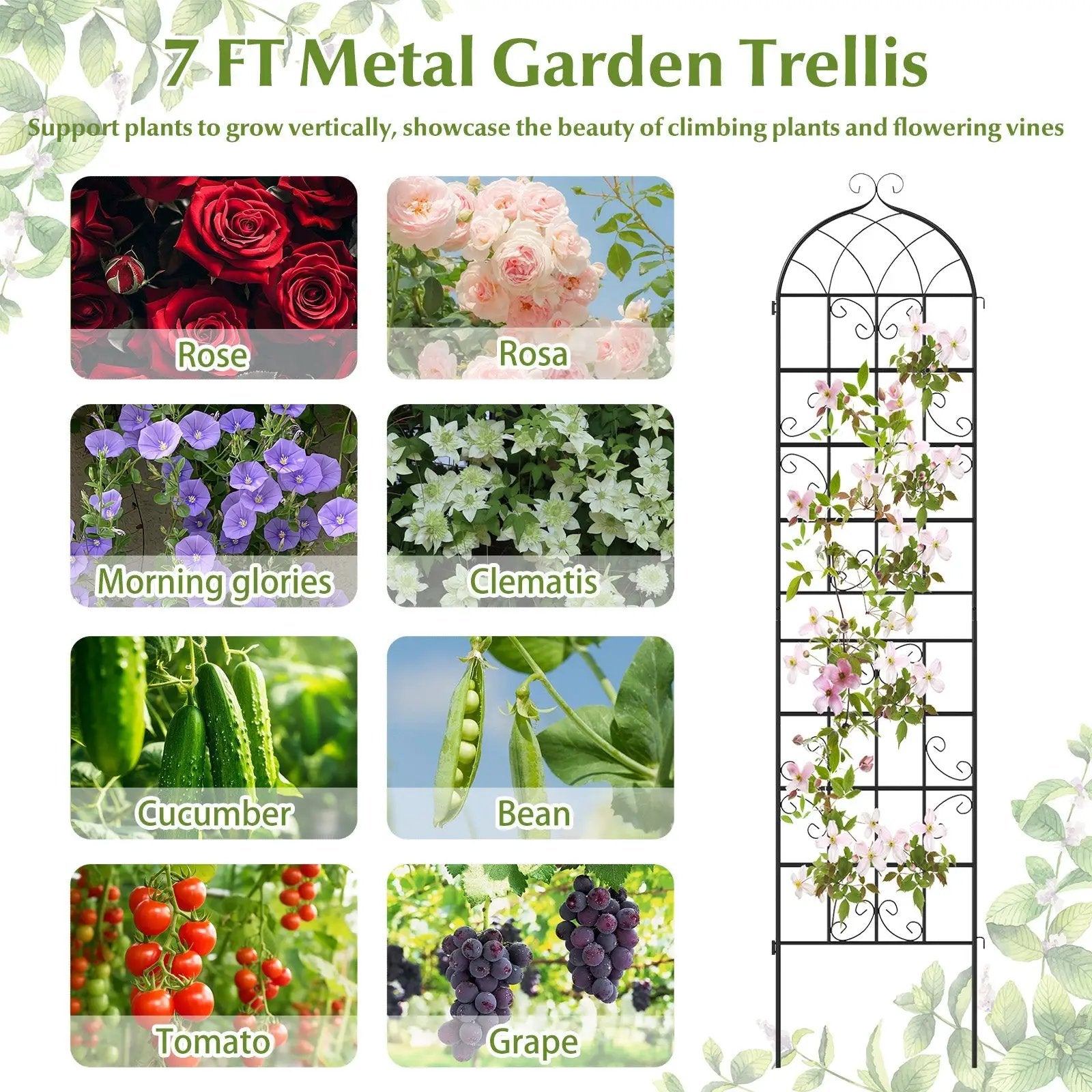 2 Pack 86" x 20" Metal Garden Trellis for Outdoor Climbing Plants by DirectDeals