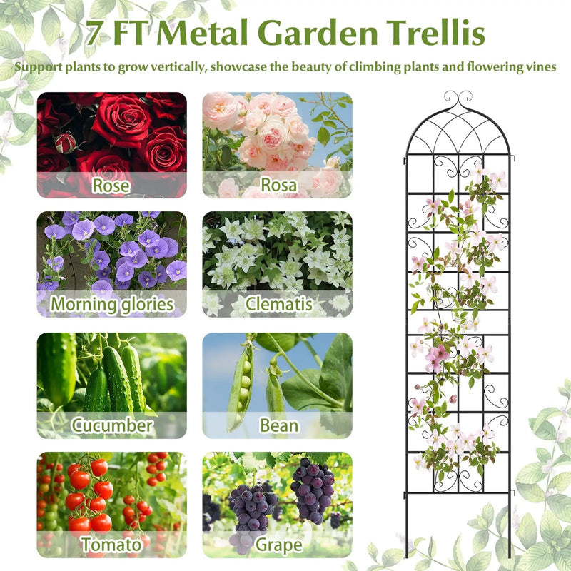 2 Pack 86" x 20" Metal Garden Trellis for Outdoor Climbing Plants by DirectDeals