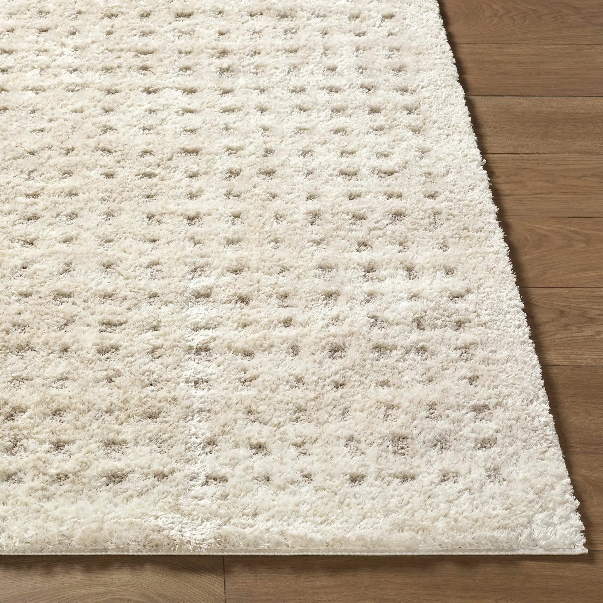 Armand Luxe Shag Rug by Boutique Rugs