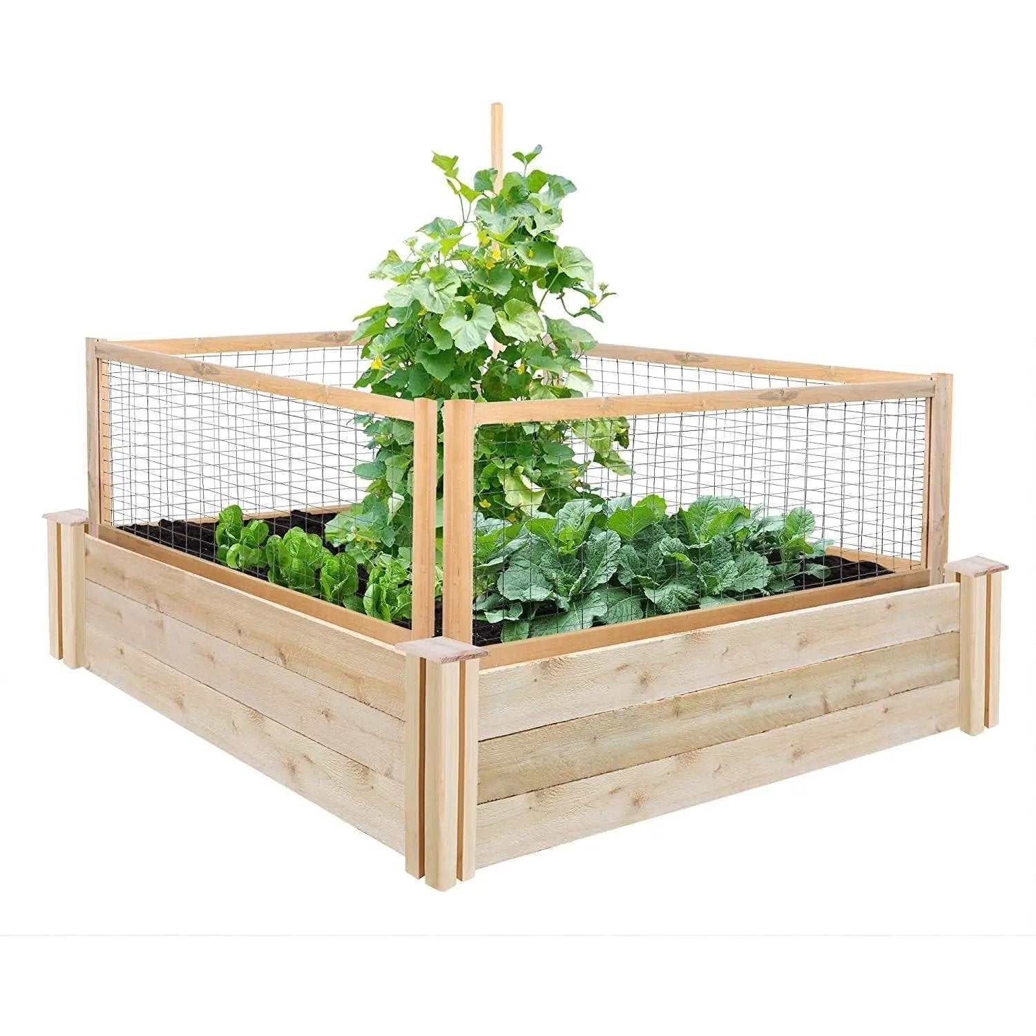 4 Pack Cedar Garden Trellis Set - 45 x 23.5 inch Each - Made in USA by HomePacific