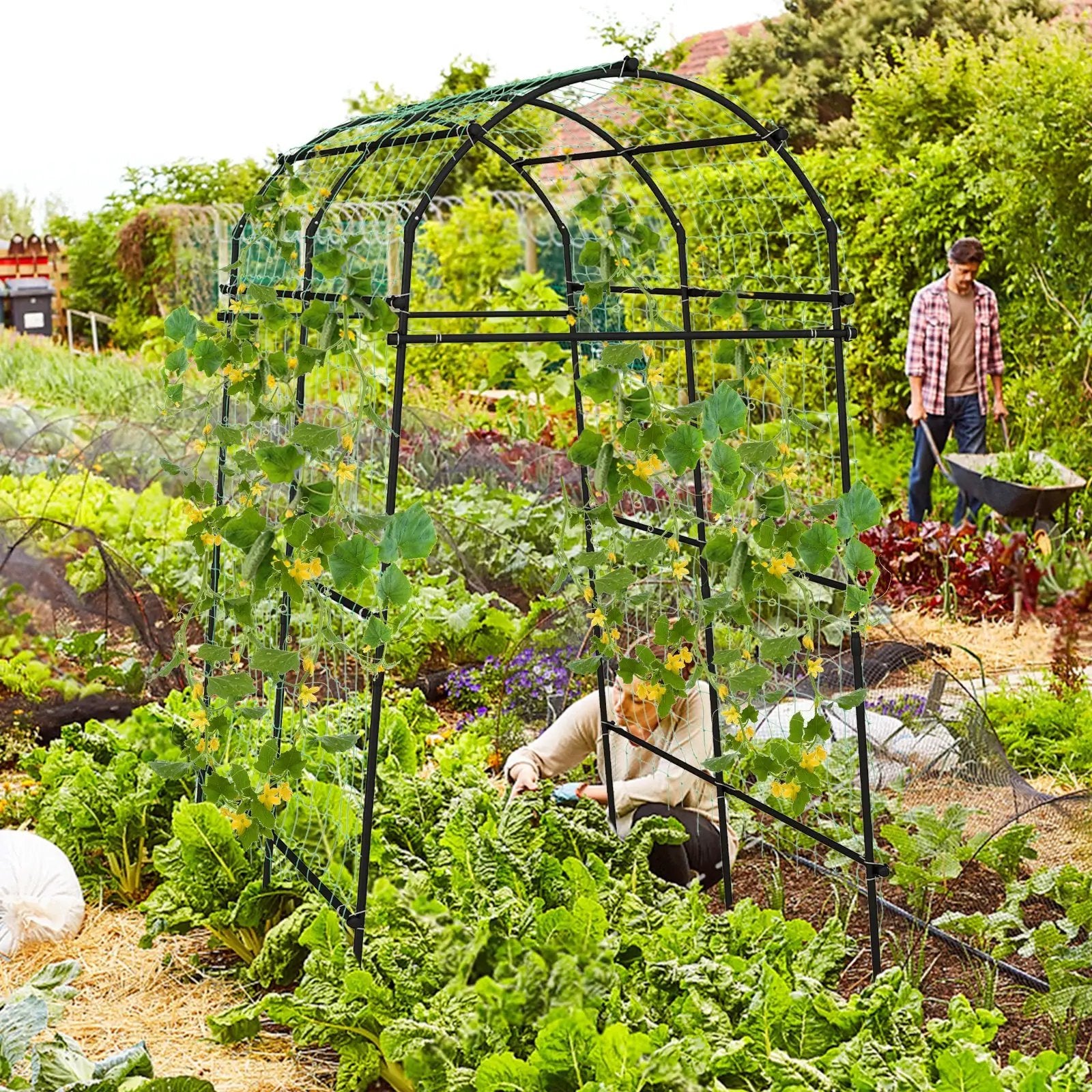 7.5 Feet Garden Arch Trellis with PE Coated Metal Structure by DirectDeals