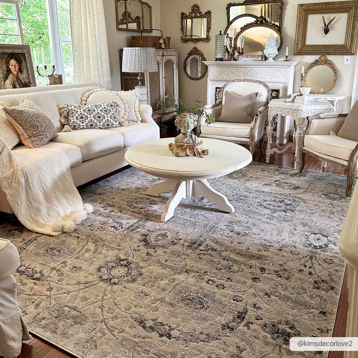 Georgiana Beige Area Rug by Boutique Rugs