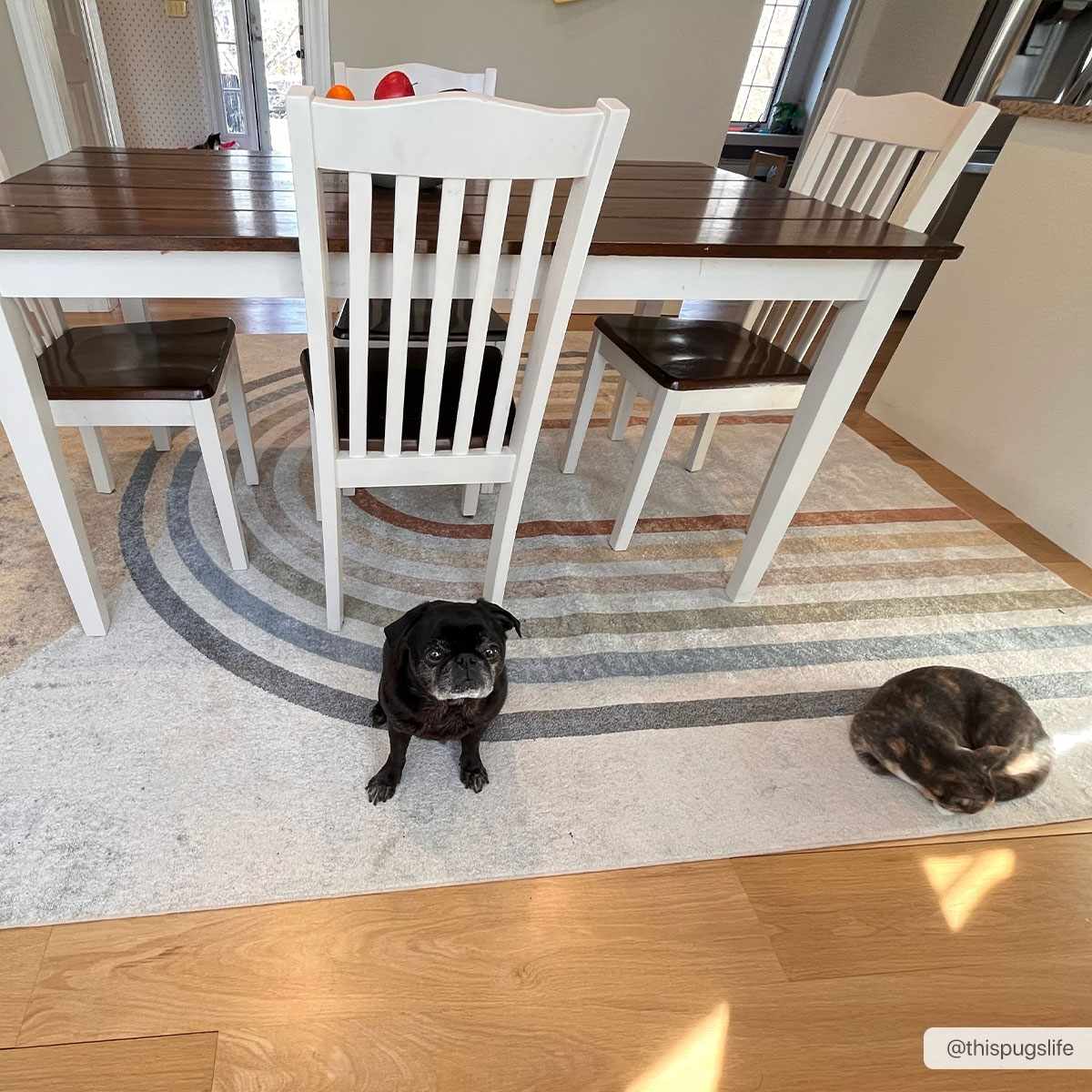 Giza Washable Area Rug, photo 4 of 25