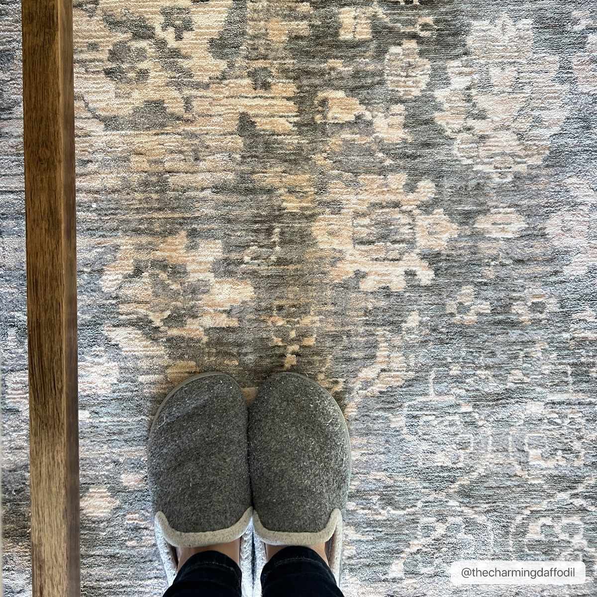 Guiwanon Area Rug - Clearance by Boutique Rugs