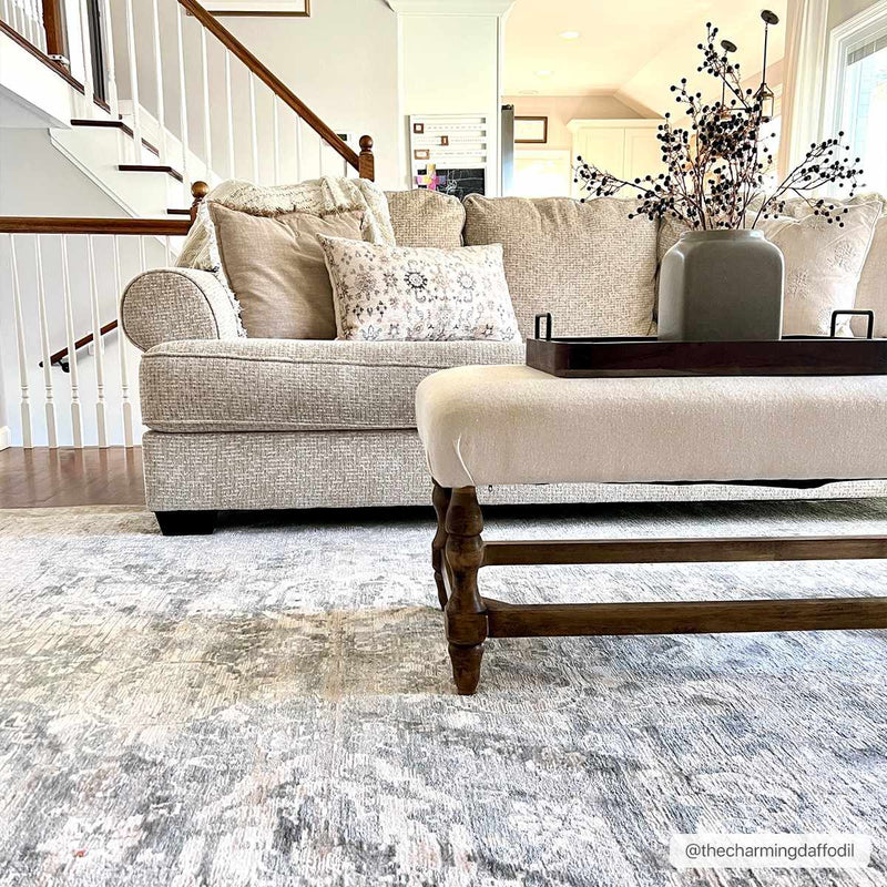 Guiwanon Area Rug - Clearance by Boutique Rugs
