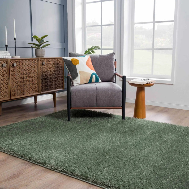 Faina Solid Green Shag Washable Area Rug - Clearance by Boutique Rugs