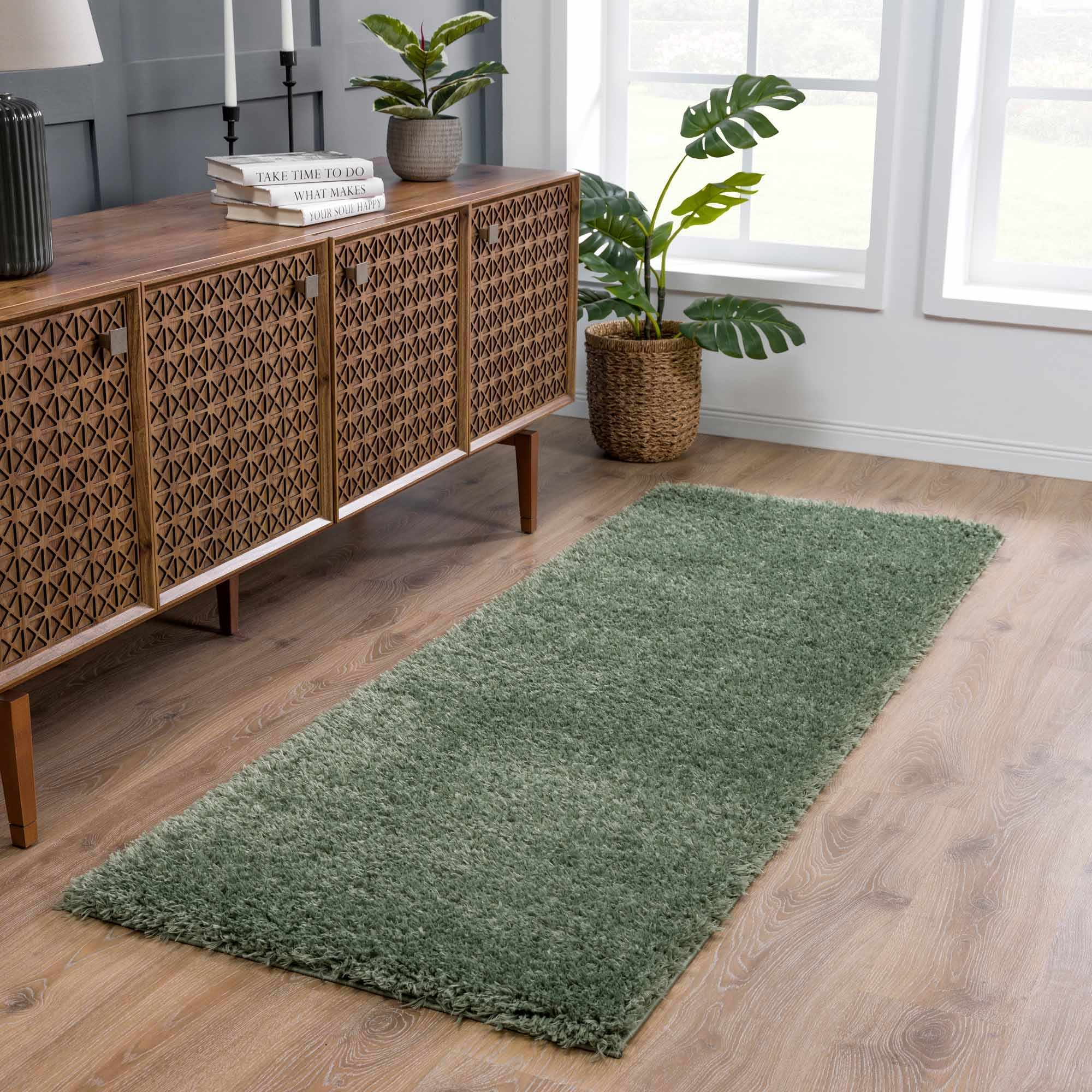 Faina Solid Green Shag Washable Area Rug - Clearance by Boutique Rugs
