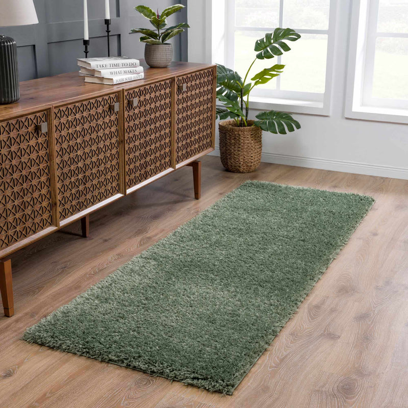 Faina Solid Green Shag Washable Area Rug - Clearance by Boutique Rugs