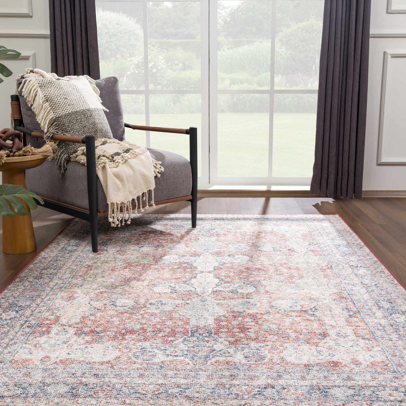 Ambre Washable Area Rug - Clearance by Boutique Rugs