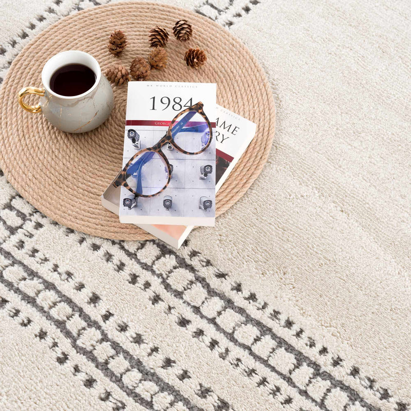 Ryuu Ivory & Gray Area Rug by Boutique Rugs