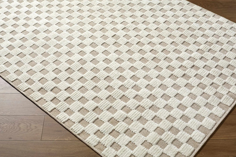 Anthea Light Gray Washable Area Rug by Boutique Rugs