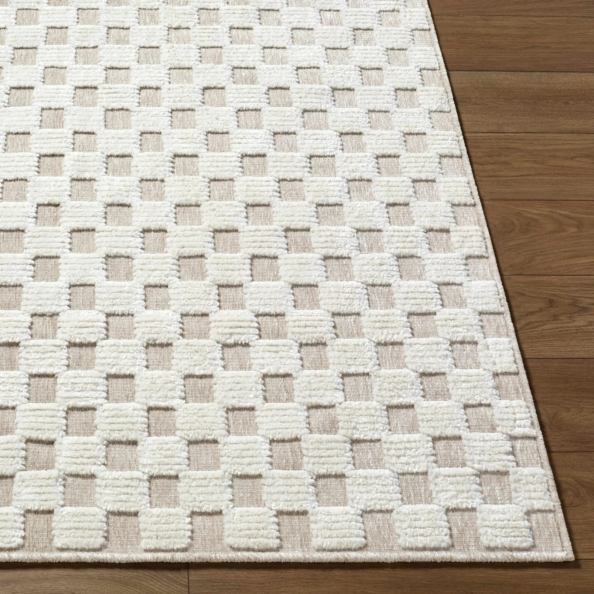 Anthea Light Gray Washable Area Rug by Boutique Rugs