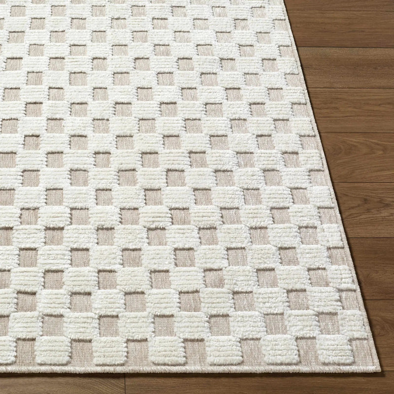Anthea Light Gray Washable Area Rug by Boutique Rugs
