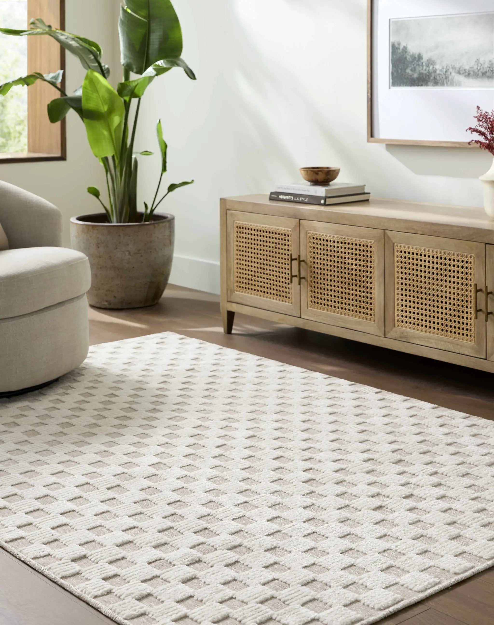 Anthea Light Gray Washable Area Rug by Boutique Rugs