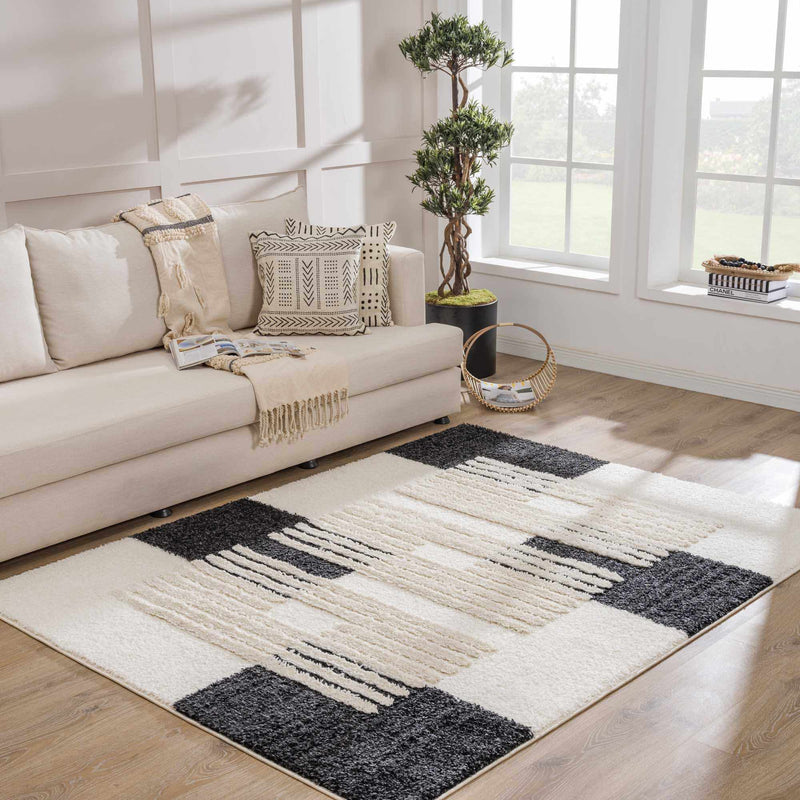 Astro Area Rug by Hauteloom