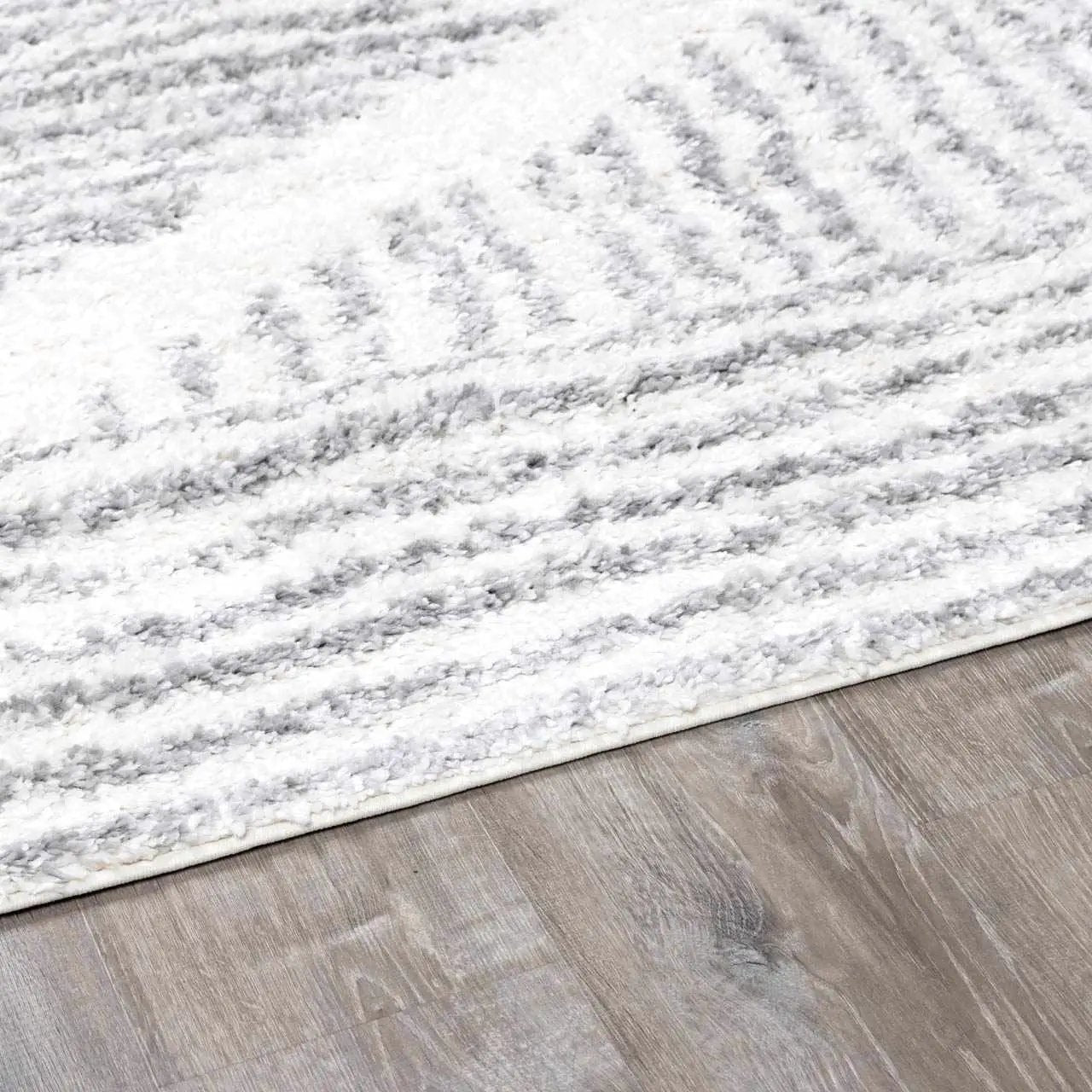 Trunding Plush Area Rug in Gray by Boutique Rugs