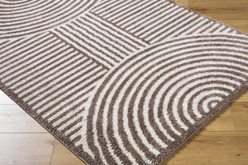 Allard Brown Washable Area Rug by Boutique Rugs