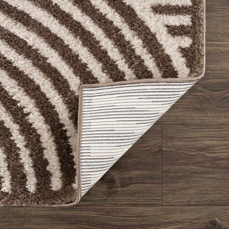Allard Brown Washable Area Rug by Boutique Rugs