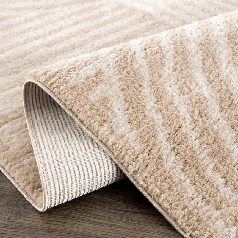 Allard Beige Washable Area Rug by Boutique Rugs