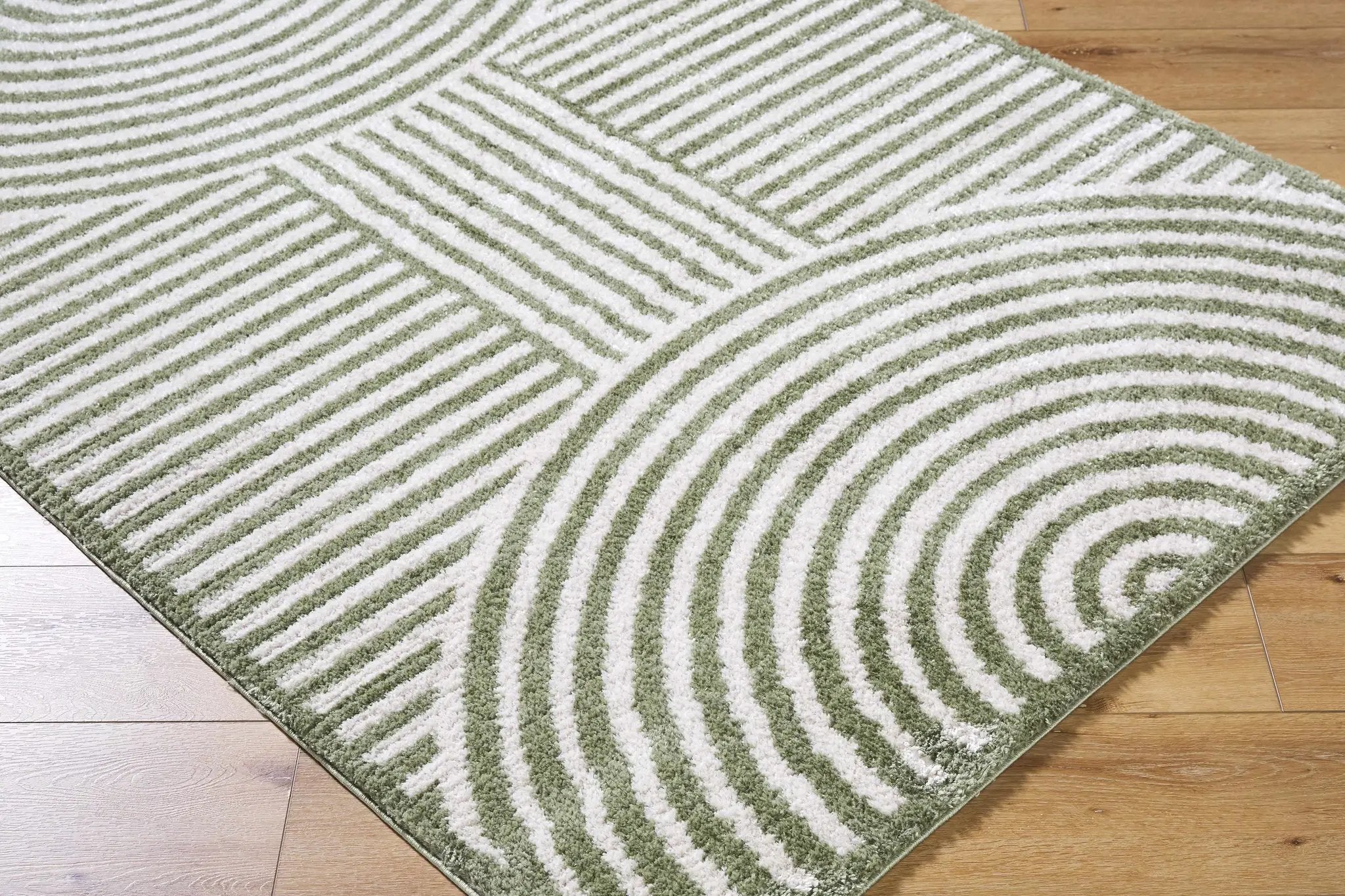 Allard Green Washable Area Rug by Boutique Rugs