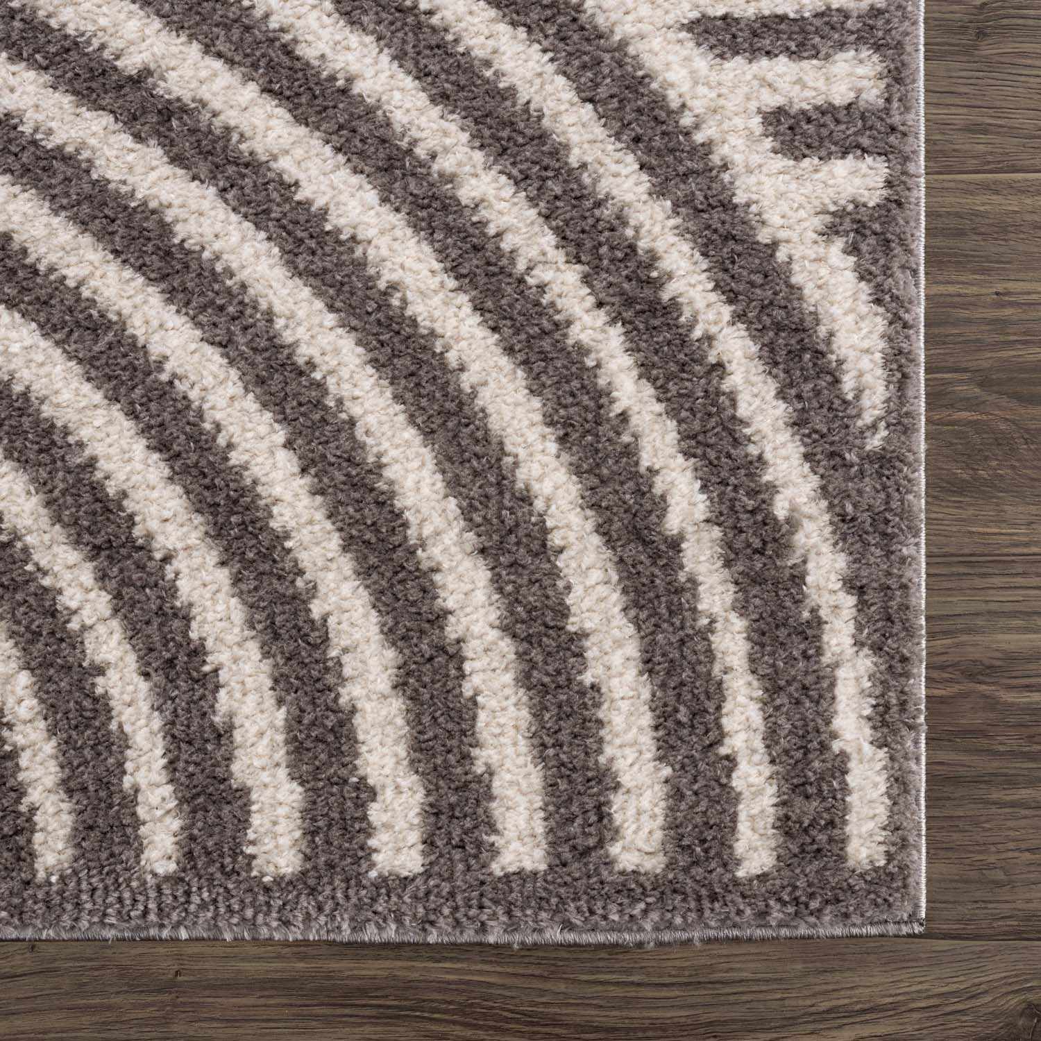Allard Charcoal Washable Area Rug by Boutique Rugs
