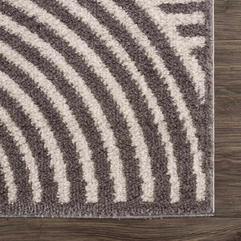 Allard Charcoal Washable Area Rug by Boutique Rugs