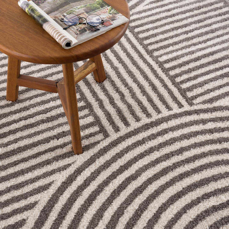 Allard Charcoal Washable Area Rug by Boutique Rugs