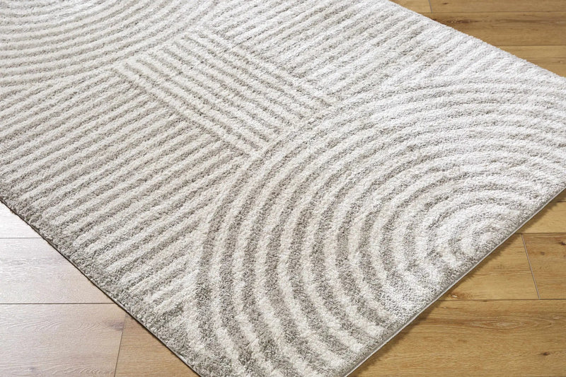 Allard Gray Washable Area Rug by Boutique Rugs