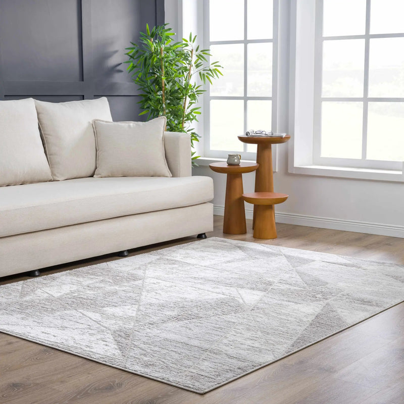 Basia Area Rug - Clearance by Boutique Rugs