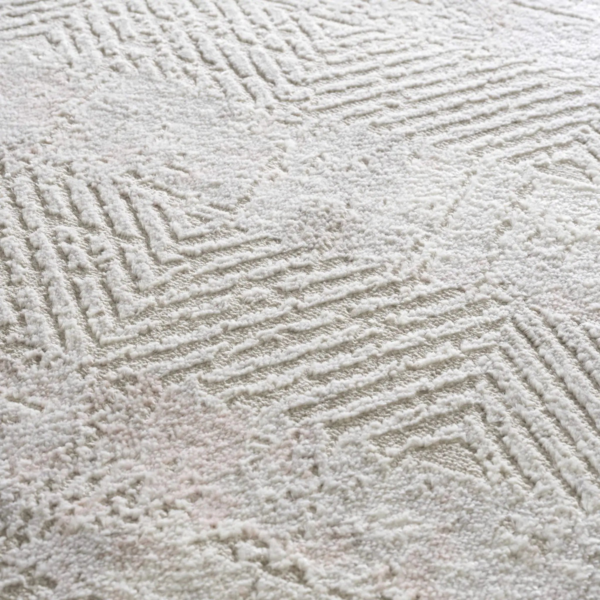 Bucky Area Rug - Clearance, photo 8 of 17