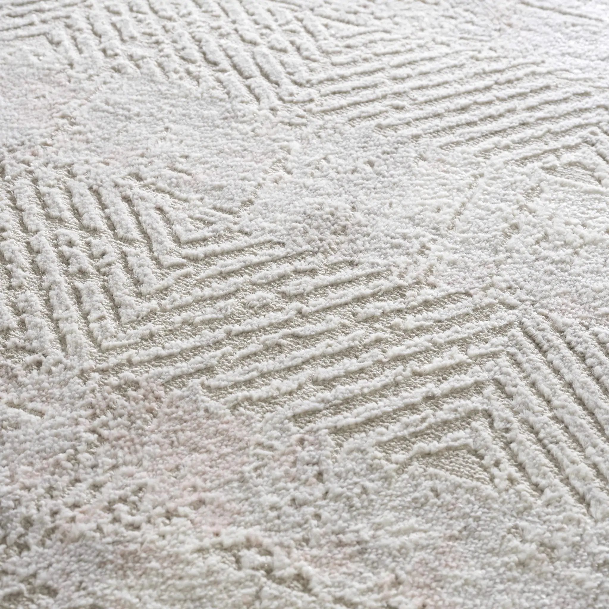 Bucky Area Rug - Clearance by Boutique Rugs