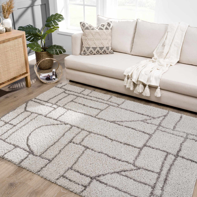 Andia Gray Area Rug - Clearance by Boutique Rugs