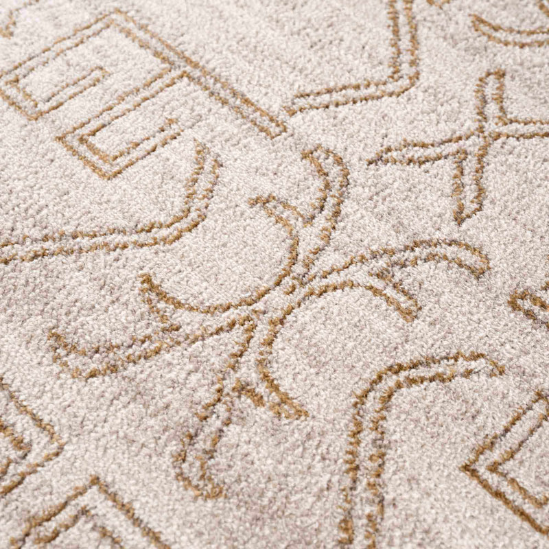 Divya Cream & Gold Area Rug - Clearance by Boutique Rugs