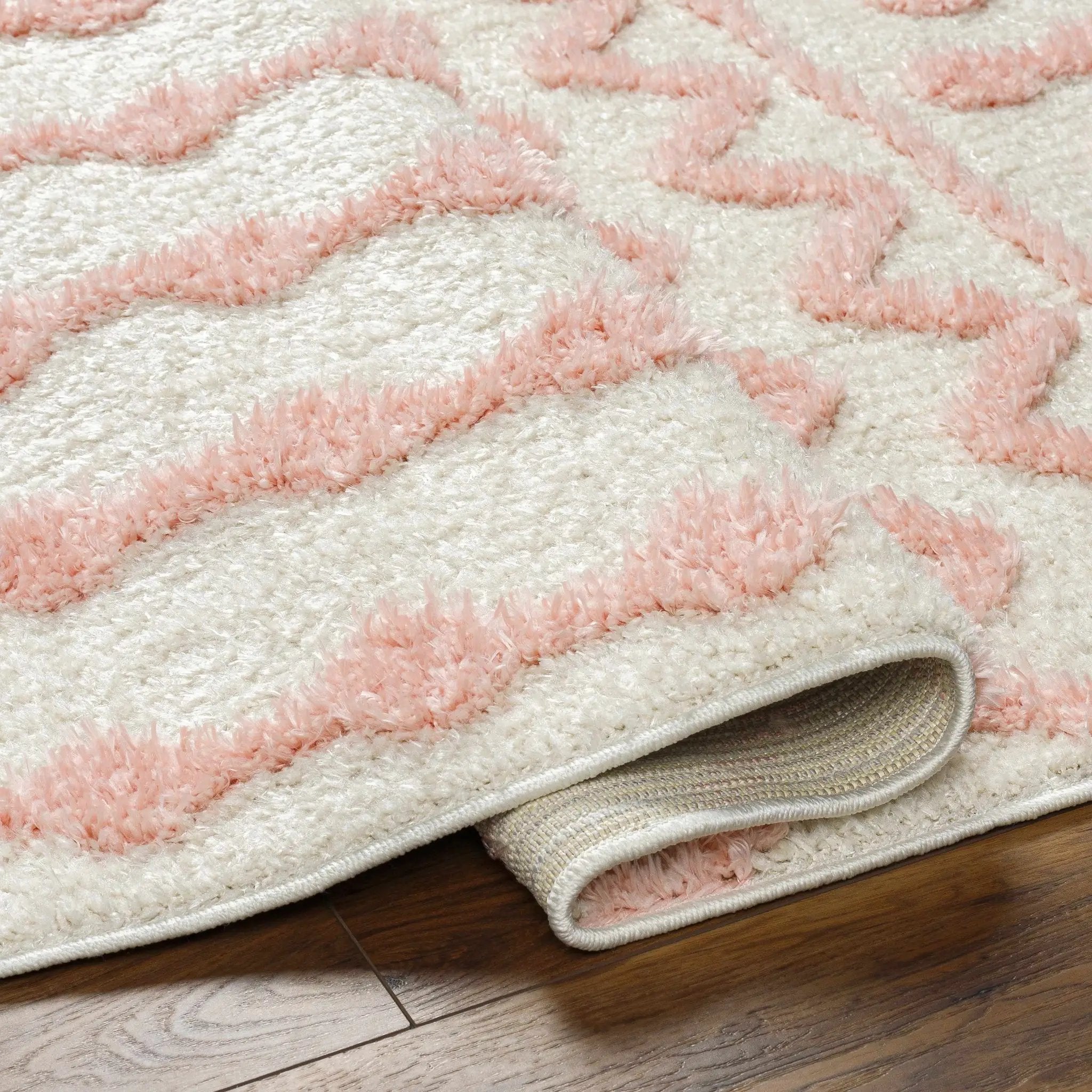 Darva Pink Plush Area Carpet by Boutique Rugs