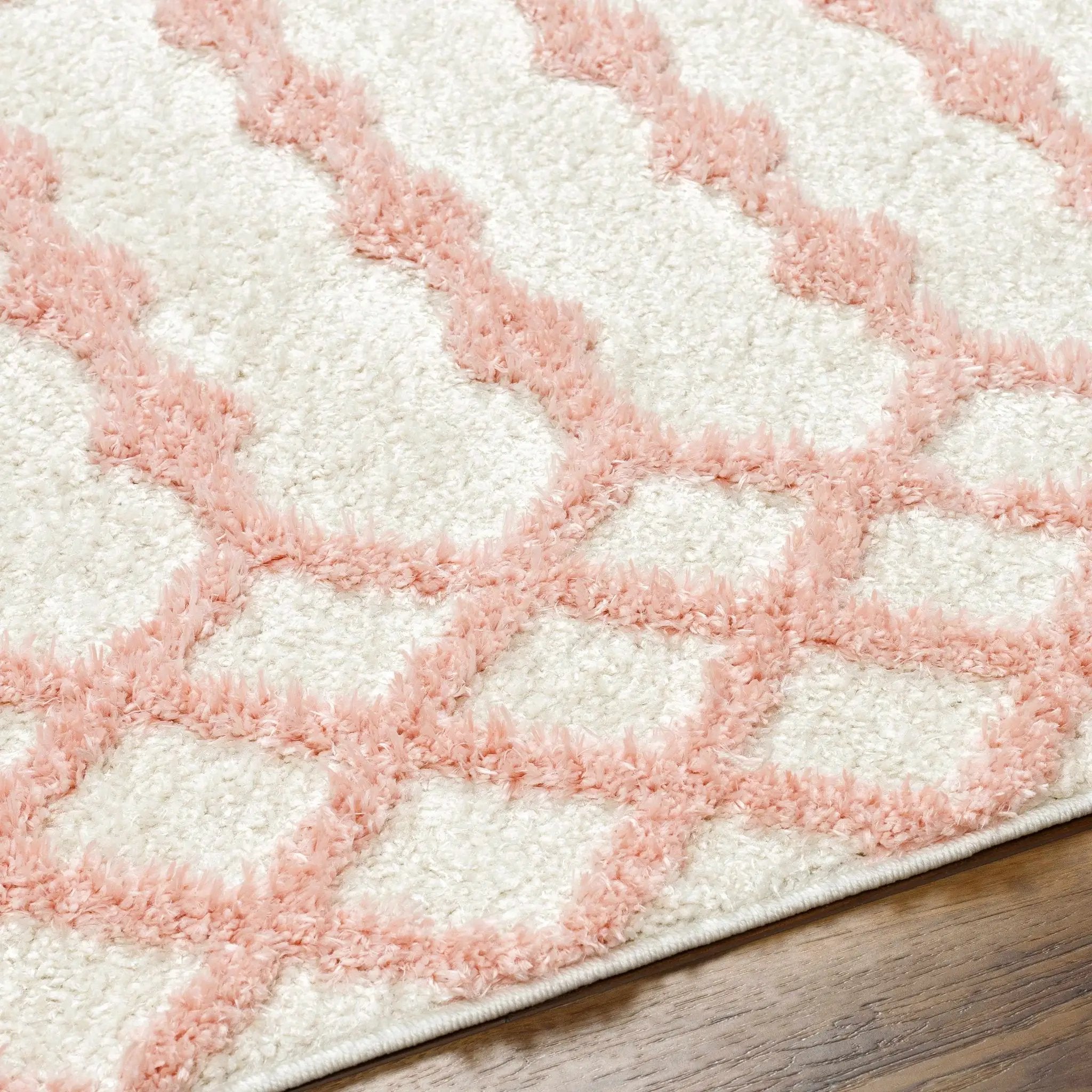 Darva Pink Plush Area Carpet by Boutique Rugs
