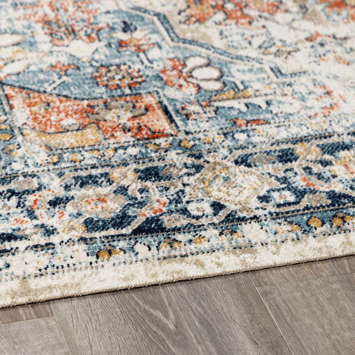 Dorval Traditional Outdoor Rug, photo 14 of 22