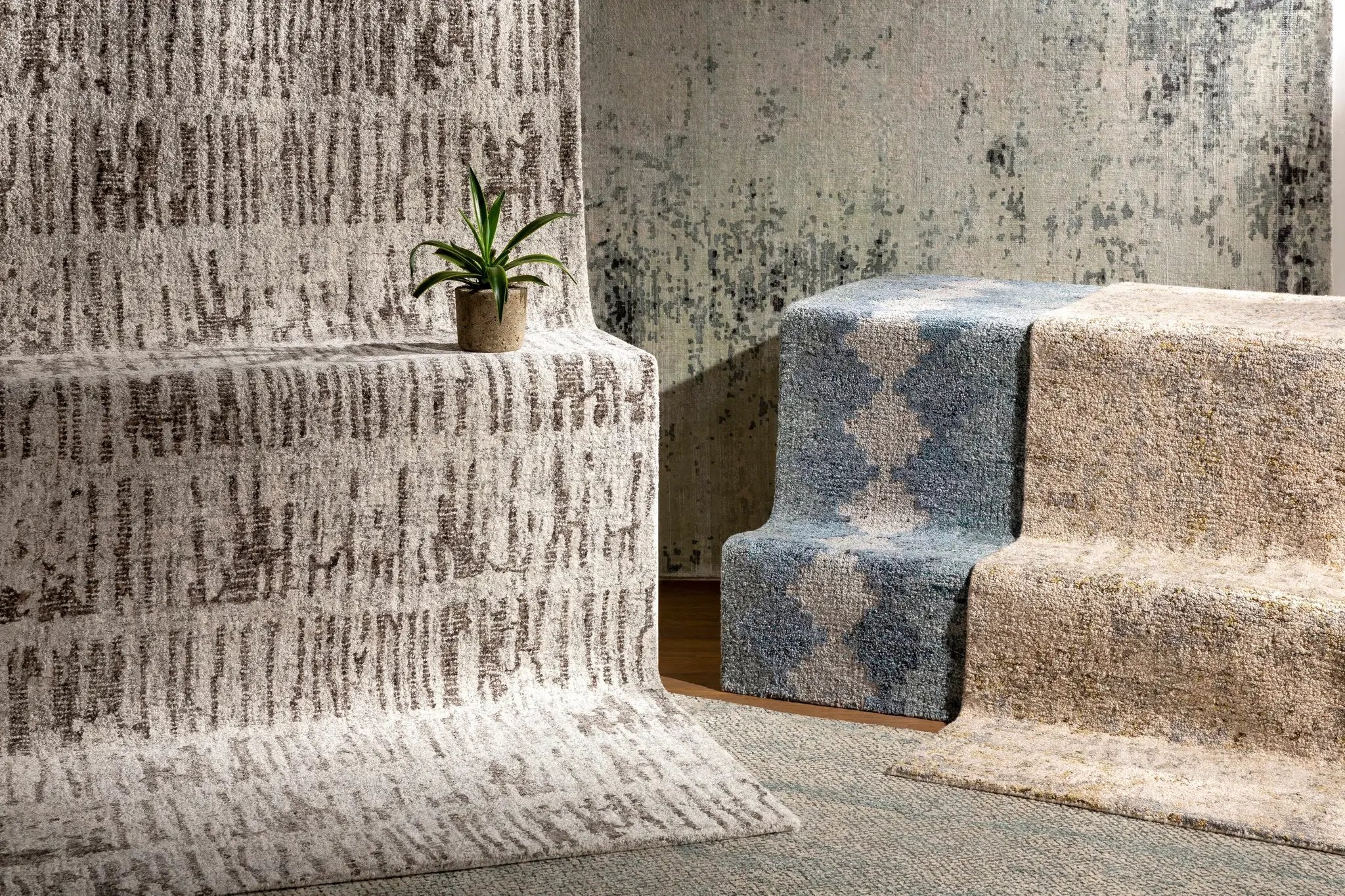 Toboy Area Rug - Clearance by Boutique Rugs