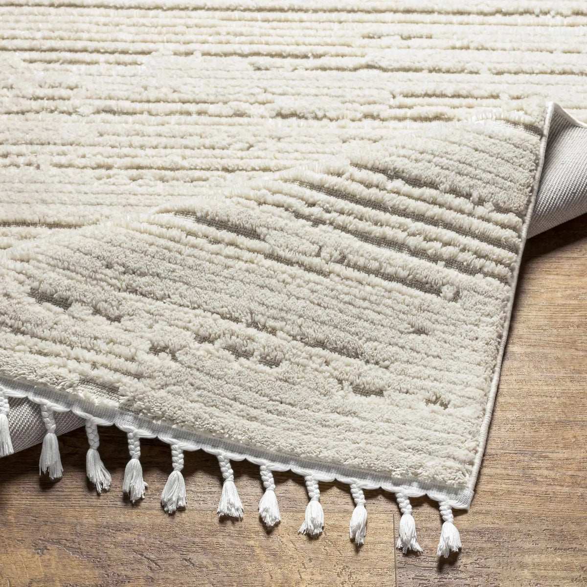 Ibarra Textured Ivory High/Low Pile Rug with Tassels, photo 17 of 18