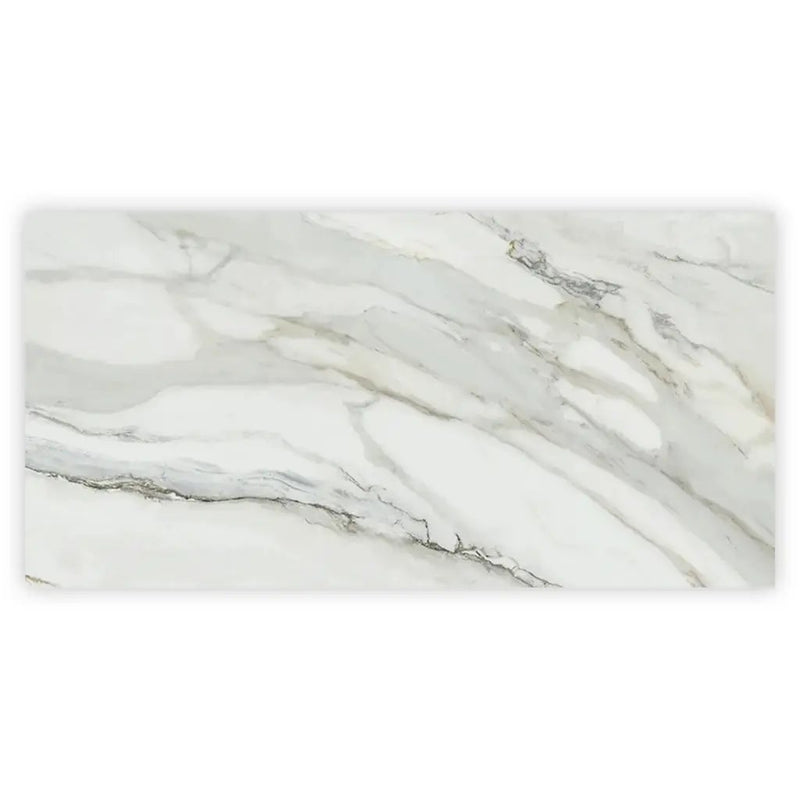 White with Gray Vein 24x48 Polished Porcelain Large Format Tile (2 pack, 15.42 sq ft/case) by Apollo Tile