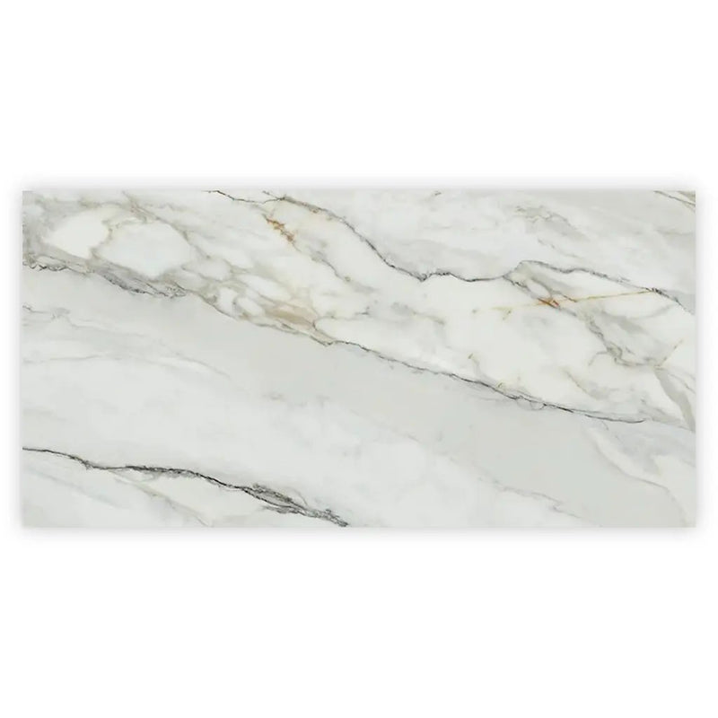 White with Gray Vein 24x48 Polished Porcelain Large Format Tile (2 pack, 15.42 sq ft/case) by Apollo Tile