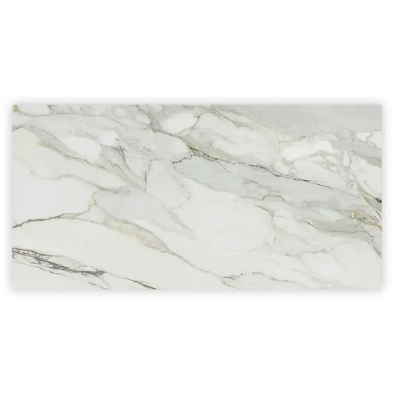 White with Gray Vein 24x48 Polished Porcelain Large Format Tile (2 pack, 15.42 sq ft/case) by Apollo Tile
