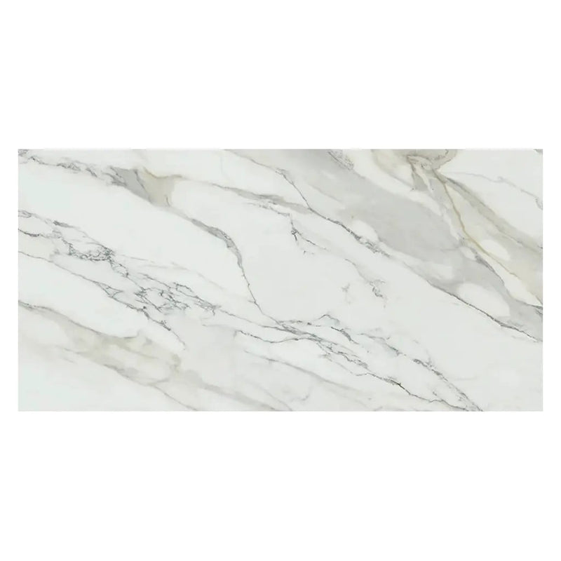 White with Gray Vein 24x48 Matte Porcelain Large Format Tile (2 pack, 15.42 sq ft/case) by Apollo Tile
