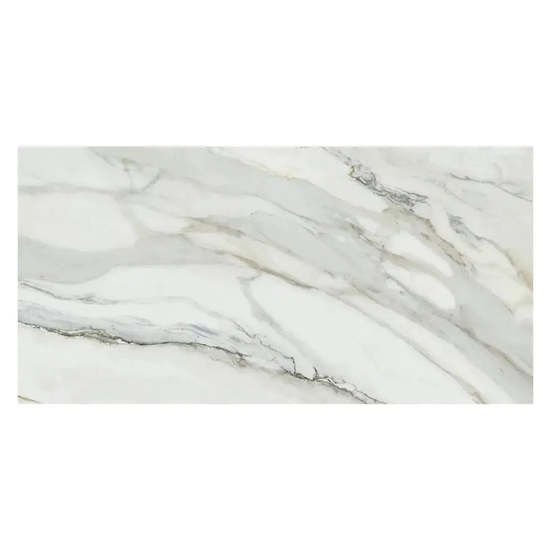 White with Gray Vein 24x48 Matte Porcelain Large Format Tile (2 pack, 15.42 sq ft/case) by Apollo Tile