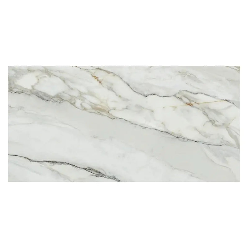 White with Gray Vein 24x48 Matte Porcelain Large Format Tile (2 pack, 15.42 sq ft/case) by Apollo Tile