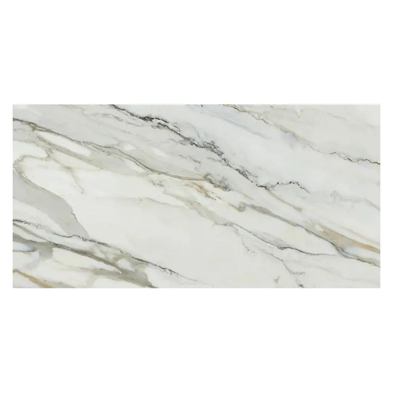 White with Gray Vein 24x48 Matte Porcelain Large Format Tile (2 pack, 15.42 sq ft/case) by Apollo Tile
