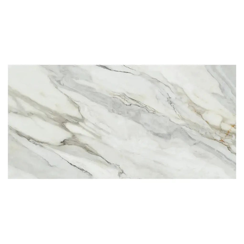 White with Gray Vein 24x48 Matte Porcelain Large Format Tile (2 pack, 15.42 sq ft/case) by Apollo Tile