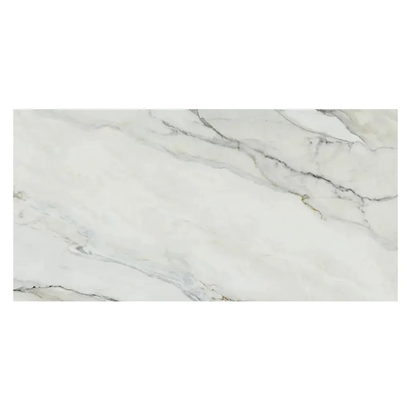 White with Gray Vein 24x48 Matte Porcelain Large Format Tile (2 pack, 15.42 sq ft/case) by Apollo Tile
