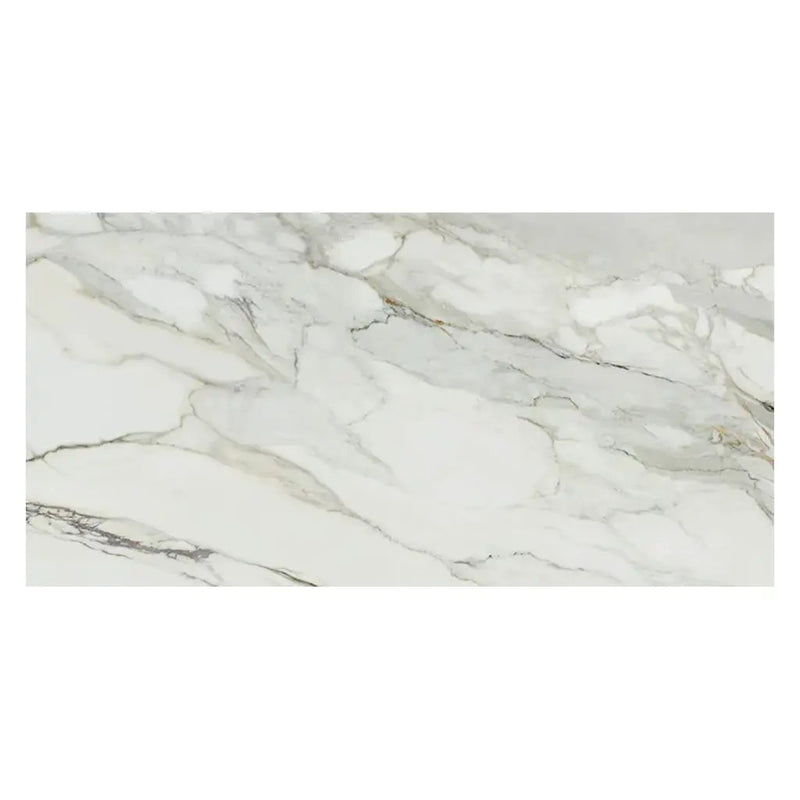 White with Gray Vein 24x48 Matte Porcelain Large Format Tile (2 pack, 15.42 sq ft/case) by Apollo Tile