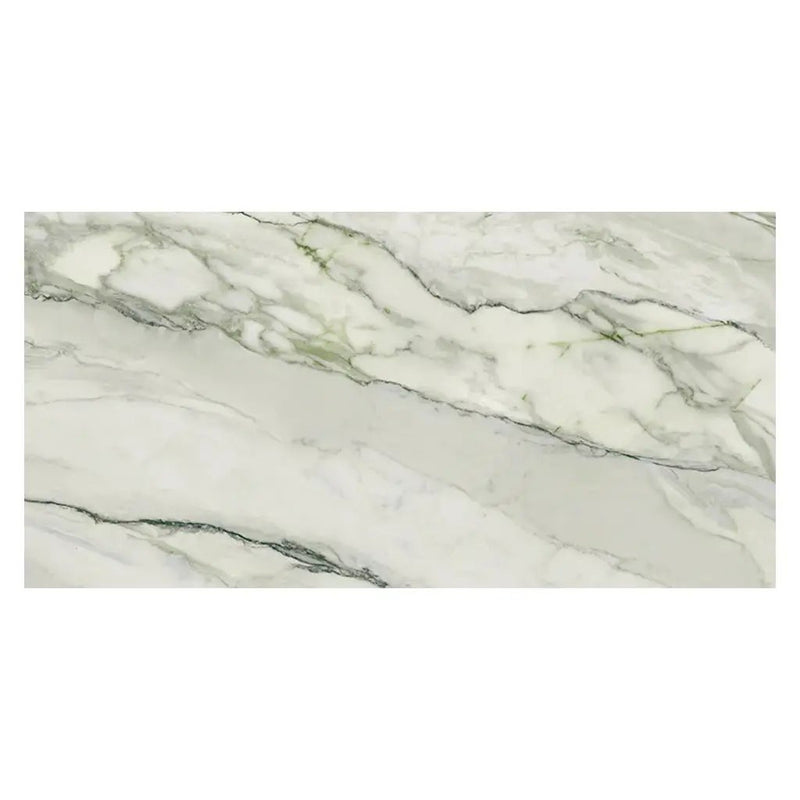 Soft White with Sage Green Vein 24x48 Matte Porcelain Large Format Tile (2 pack, 15.42 sq ft/case) by Apollo Tile